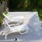 Collaroy 3Br Beach Home with Large Pool Ground Floor