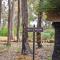 Rosella - Bushland Hideaway