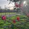 GITE COCOTTE LUBERON, FORCALQUIER
