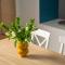 Old City 3BR 100sqm - Bright & Spacious - Renovated 2026