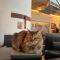 Alex Beach Apartment 34