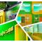 Green Cube Capsule Hostel