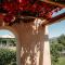 Casetta Nonna Lina - Charming house with amazing seaview and private pool