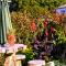 Poltair Guest House