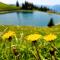 Apartment MOUNTAIN BLOOM Golte