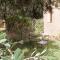 Le Jardin Des Epices