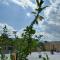 Hotel Eyram