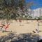 APARTAMENTO BRUEL 17-12.
