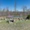 Bullfrog Bluff Mountain View Cabin with Deck!