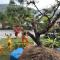 Country Homestay