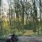 The Forest Door - Studio Suite in Stone Cottage