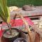 Kanela Guest House