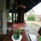 Zofijówka