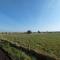 Sunnyside Farm