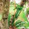 Sanithu Homestay and villa Galle Sanithu Homestay and villa Galle