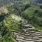Friendly Homestay Lemukih