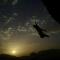 Foto: Wadi Rum Sky Tours & Camp 110/136