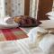 Ellen House Bed and Breakfast