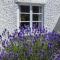 Syms Cottage Cutcombe