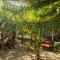 Villa Los Mangles Boutique Hotel