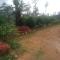 Laxapana Wilderness Homestay