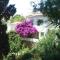 KARMI Apartments Stenies Andros