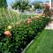 Guest House Arancia145
