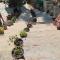 Nature Villaas BASA HOMESTAY
