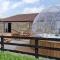 3 Bed in Bishop Auckland oc-94320