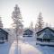 Santas Igloos Arctic Circle