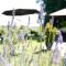 Nature & Chateaux