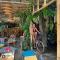 Mango Tree House Chill Backpacker Oasis