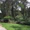 Emerald Creek Cottages - Emerald