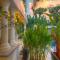 Foto: Golden Nice Building Siem Reap Hotel 64/80