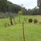 Wildwood Guesthouse