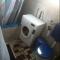 Hostel Struga