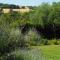 Aura Relais
