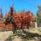 Cabañas Rowal Malbec Potrerillos
