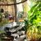 Mangrove Beach Houses