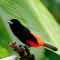 El Colibri Lodge