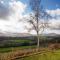 3 Bed in Brecon oc-bn037