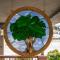 Lone Oak Lodge