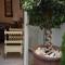 El Patio Courtyard House - تونس