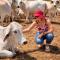 Tarentaal Guest Farm