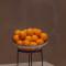Authentic Tavira Hotel