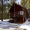 Ponderosa Cabin
