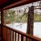 Ponderosa Cabin