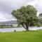 Deloraine Tiny Retreat by Tiny Away Deloraine Tiny Retreat by Tiny Away