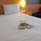 ibis Aurillac