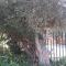 Chez Esme Guest House - Roodepoort